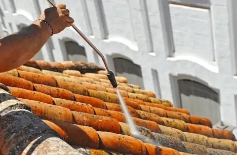 Nettoyage de toitures - La Queue-en-Brie